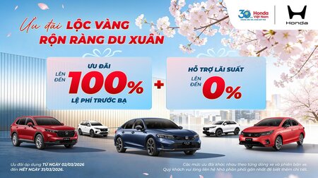 ƯU ĐÃI LỘC VÀNG RỘN RÀNG DU XUÂN